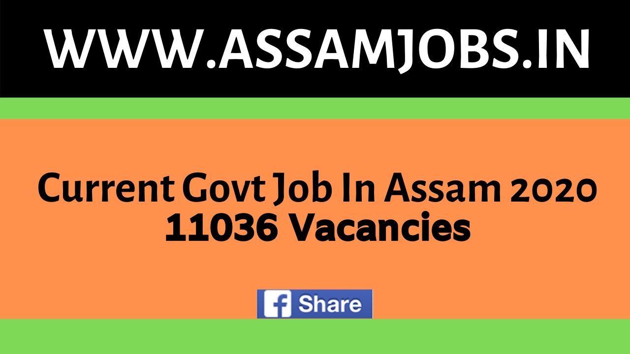 Assam govt job