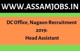 DC Office Nagaon Recruitment 2019