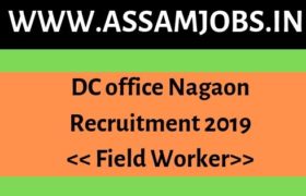 DC office Nagaon Recruitment 2019