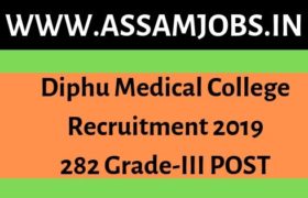 Diphu Medical College Recruitment