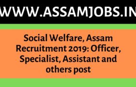 Social Welfare, Assam Recruitment 2019_ Officer, Specialist, Assistant and others post