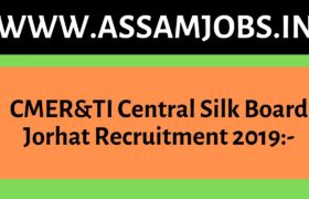 CMER&TI Central Silk Board Jorhat Recruitment 2019